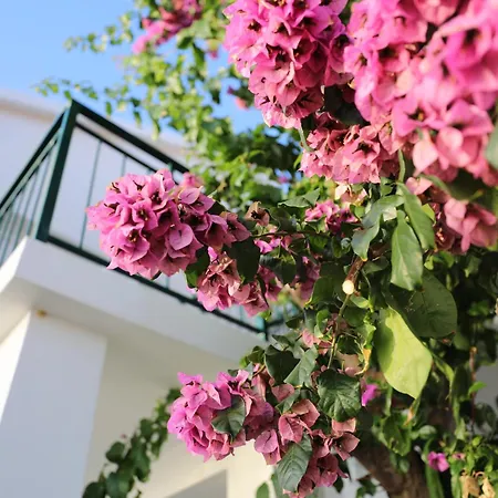 Haus Am Holiday home Brist