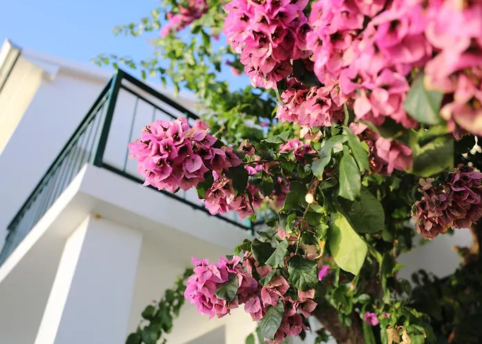 Haus Am Vakantiehuis Brist