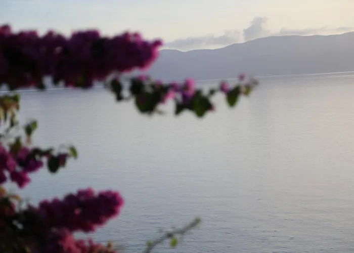 Haus Am Holiday home *